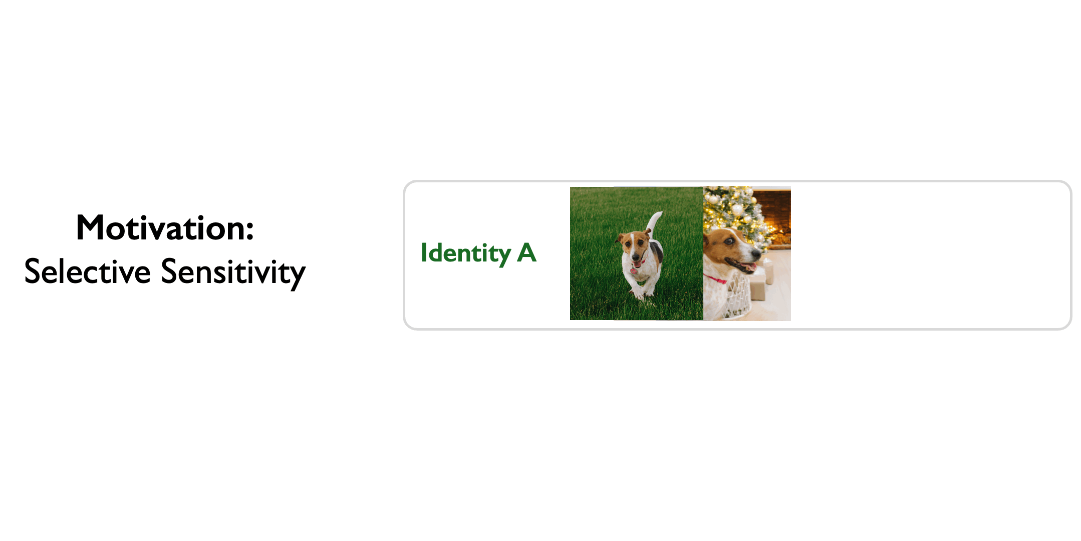 Selective sensitivity animation showing contextual changes versus identity changes