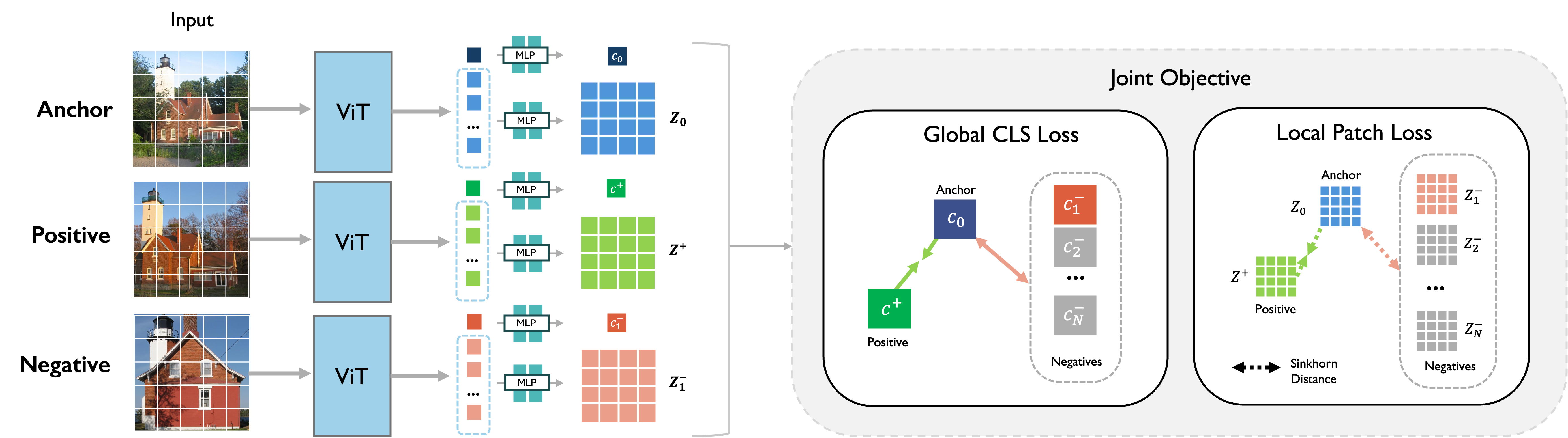 ID-Sim training overview with shared encoder and joint global and local supervision